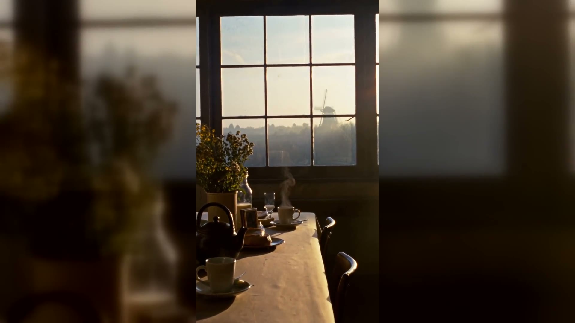 Stilbeeld uit de voorbeeld-sfeervideo voor een B&B / landschap